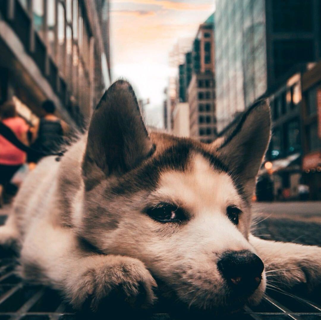 arxajxz